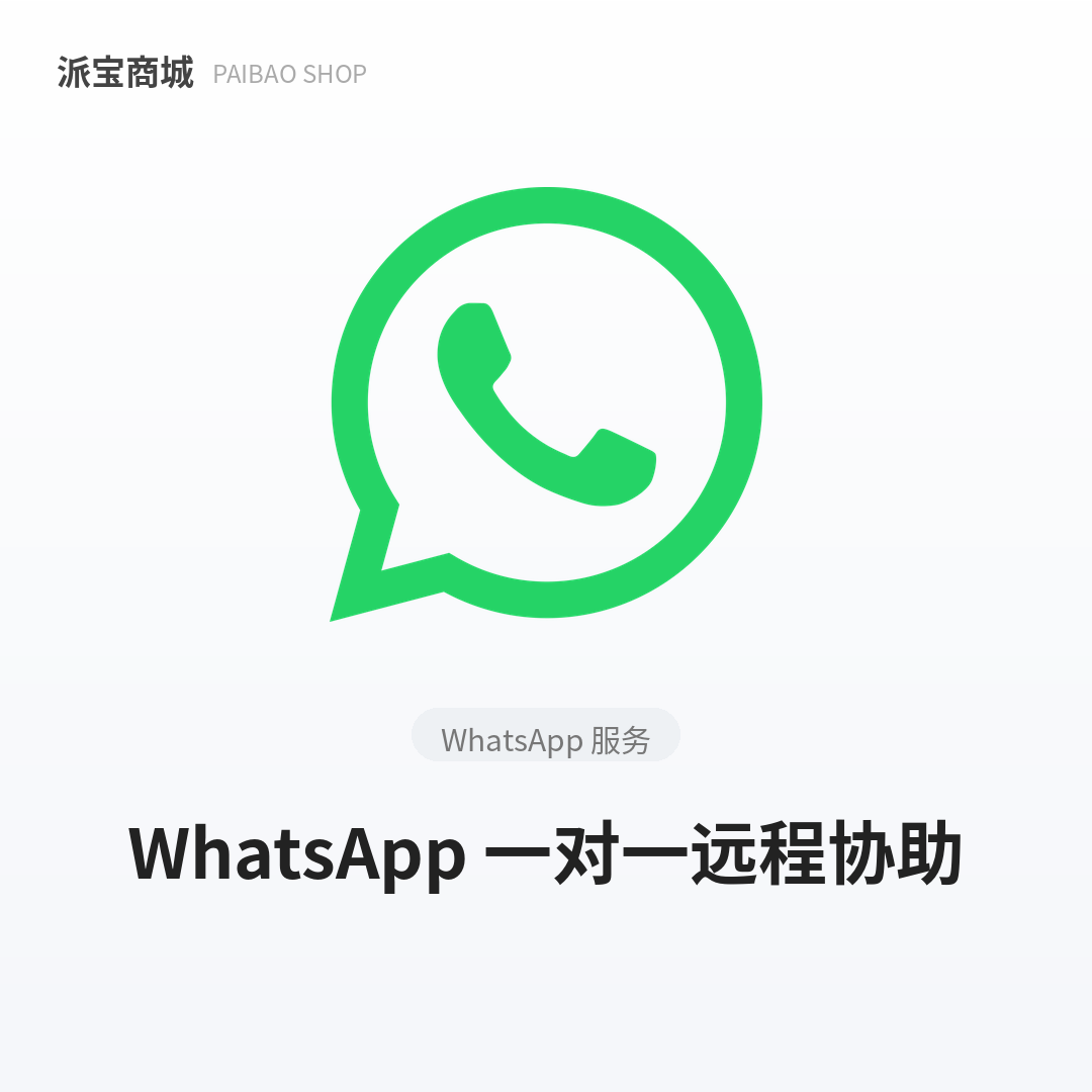 WA一对一远程协助